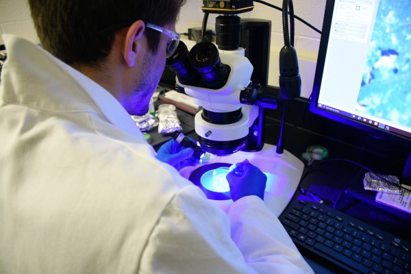 A researcher in a white coat looks into a microscope in a lab