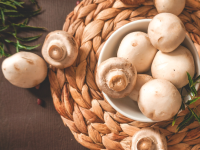 $7M grant funds project to develop new ways to protect mushroom crops | Penn State University