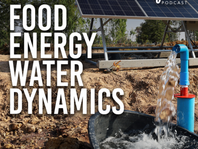 Growing Impact: Food Energy Water Dynamics