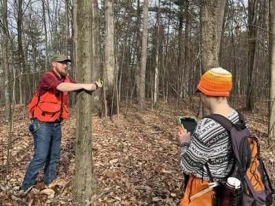Research to help private forest owners manage woodlands for ecosystem services | Penn State University