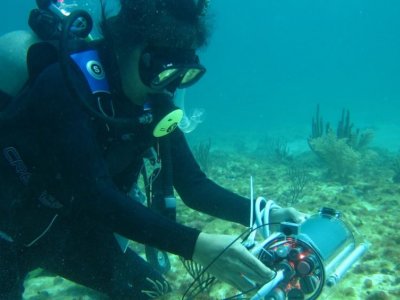A world of aquatic discovery: Penn State coral research | Penn State University